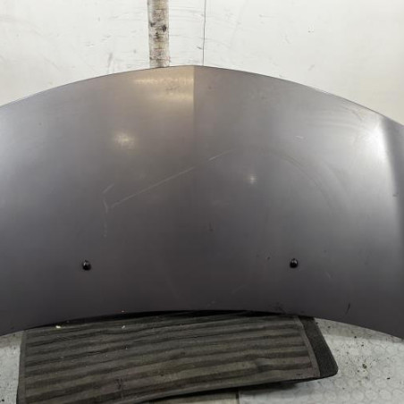 Capot RENAULT CLIO 3 Photo n°1