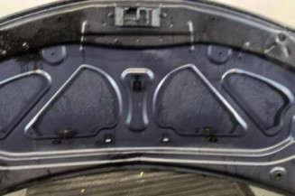 Capot RENAULT CLIO 3