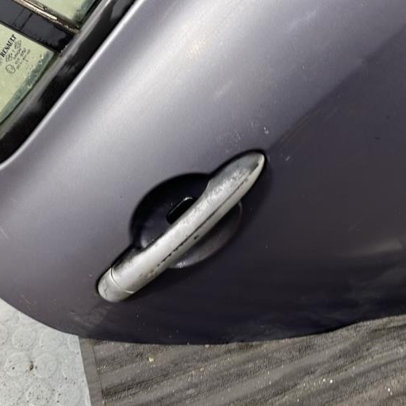Porte arriere droit RENAULT CLIO 3 Photo n°2