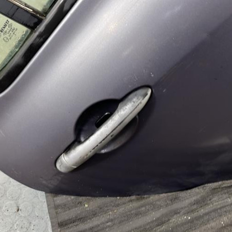 Porte arriere droit RENAULT CLIO 3