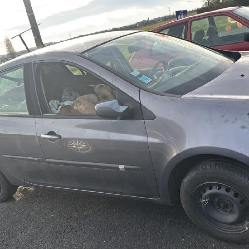 Porte arriere droit RENAULT CLIO 3 Photo n°9