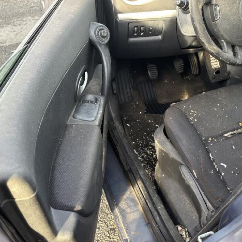 Porte arriere droit RENAULT CLIO 3 Photo n°15