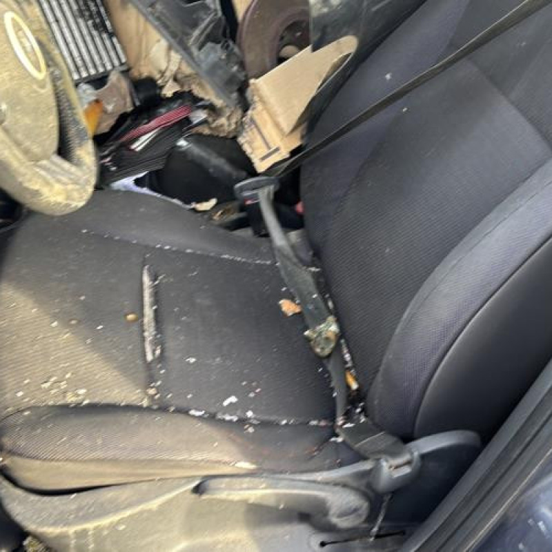 Porte arriere droit RENAULT CLIO 3 Photo n°18