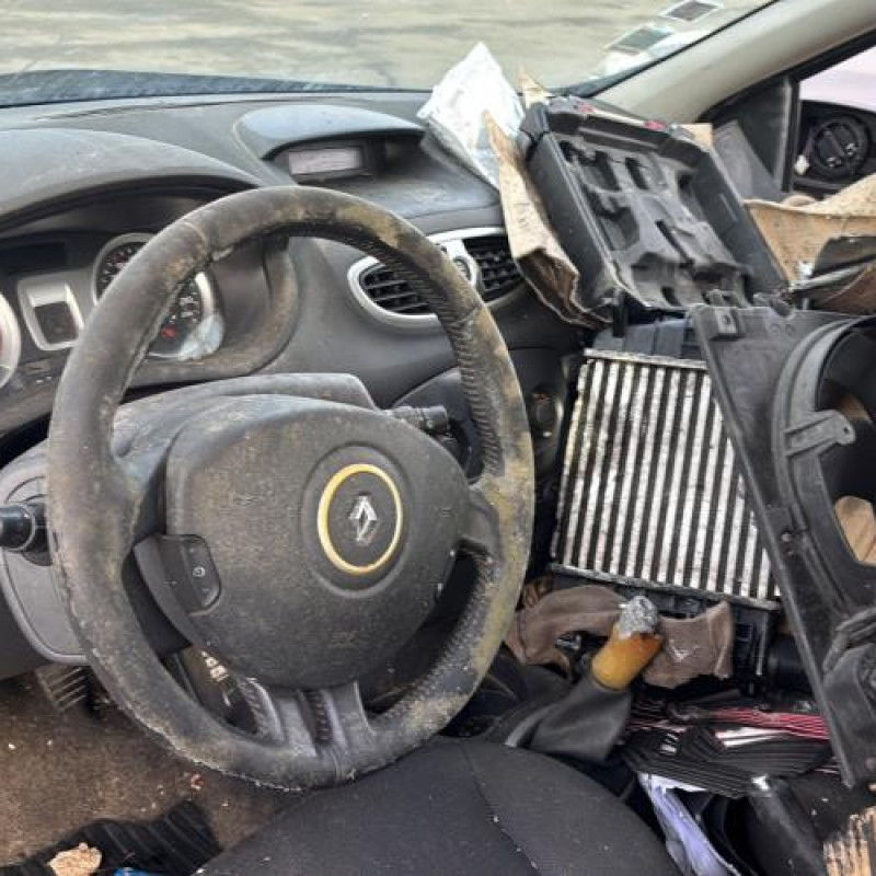 Porte arriere droit RENAULT CLIO 3 Photo n°19