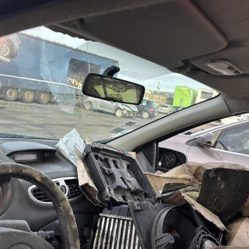 Porte arriere droit RENAULT CLIO 3 Photo n°20