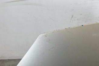 Capot RENAULT SCENIC 2