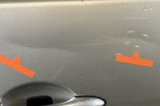 Porte arriere droit RENAULT SCENIC 2