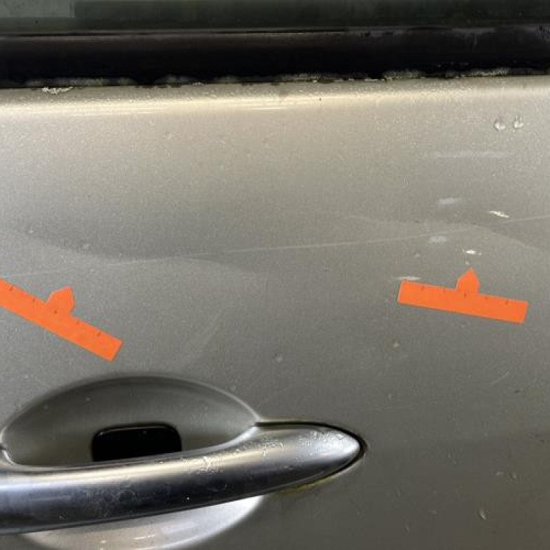 Porte arriere droit RENAULT SCENIC 2 Photo n°3