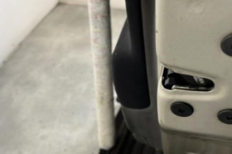 Porte arriere droit RENAULT SCENIC 2