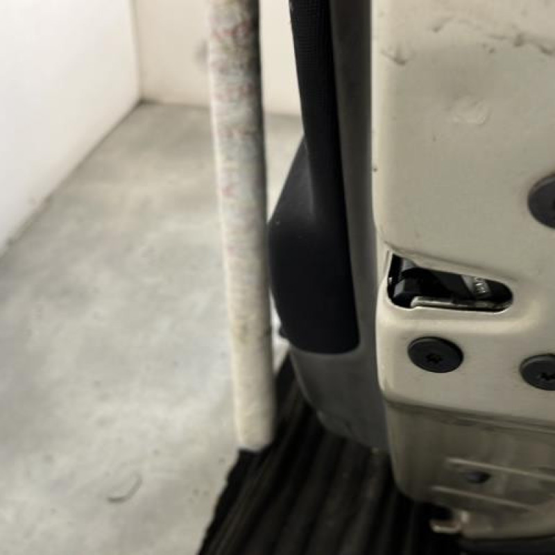 Porte arriere droit RENAULT SCENIC 2 Photo n°4