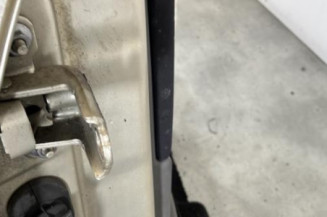 Porte arriere droit RENAULT SCENIC 2