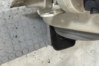 Porte arriere droit RENAULT SCENIC 2