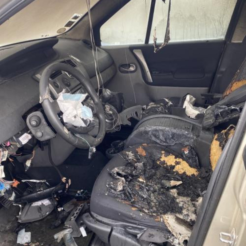 Porte arriere droit RENAULT SCENIC 2 Photo n°14