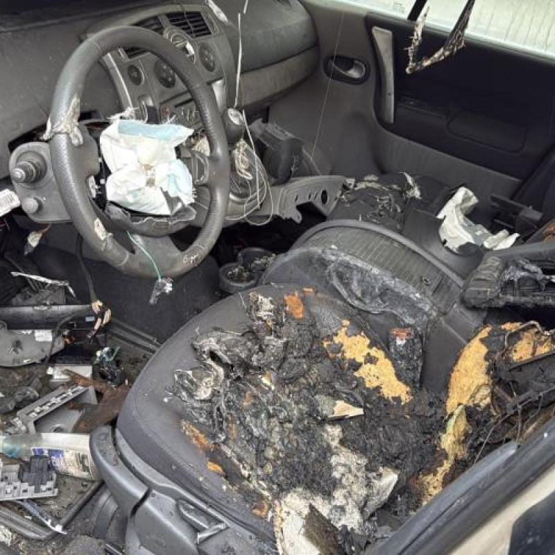 Porte arriere droit RENAULT SCENIC 2 Photo n°18