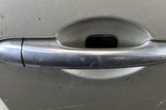 Porte avant droit RENAULT SCENIC 2