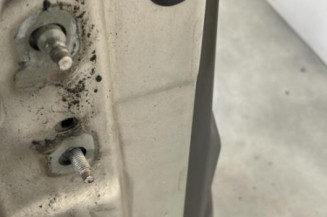 Porte avant droit RENAULT SCENIC 2