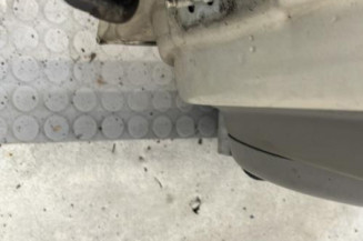 Porte avant droit RENAULT SCENIC 2