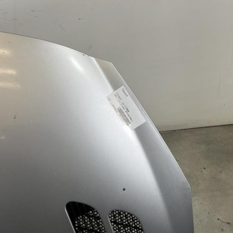 Capot PEUGEOT 206+ Photo n°3