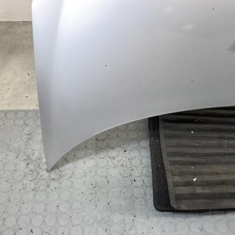 Capot PEUGEOT 206+ Photo n°5