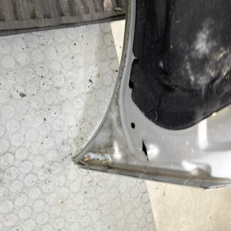 Capot PEUGEOT 206+ Photo n°9