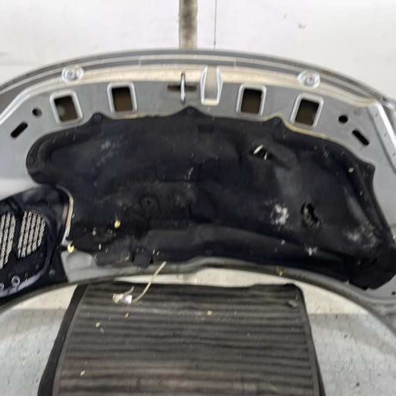 Capot PEUGEOT 206+ Photo n°10