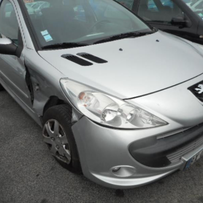 Capot PEUGEOT 206+ Photo n°12