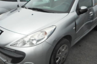 Capot PEUGEOT 206+