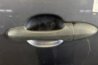 Porte arriere gauche FORD FOCUS 1