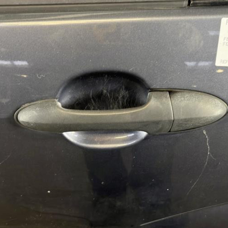 Porte arriere gauche FORD FOCUS 1 Photo n°2