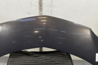 Capot RENAULT MODUS Photo n°1