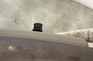 Porte arriere gauche RENAULT MODUS