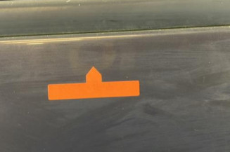 Porte avant droit RENAULT MODUS