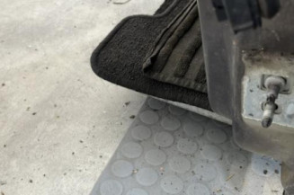 Porte avant gauche RENAULT MODUS