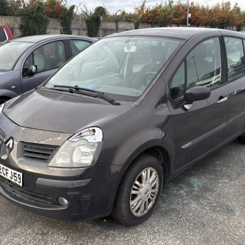 Porte avant gauche RENAULT MODUS Photo n°8