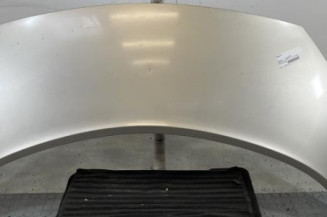 Capot RENAULT SCENIC 2 Photo n°1