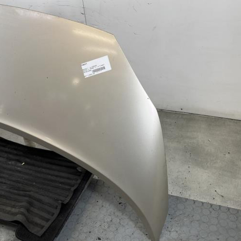 Capot RENAULT SCENIC 2 Photo n°3