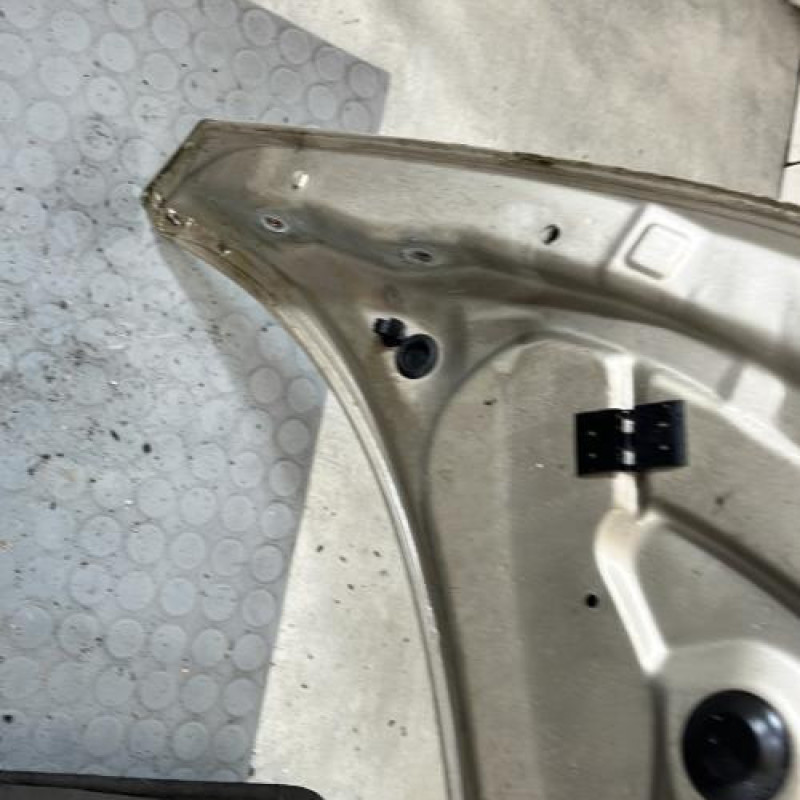 Capot RENAULT SCENIC 2 Photo n°5