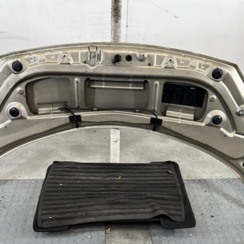 Capot RENAULT SCENIC 2 Photo n°7