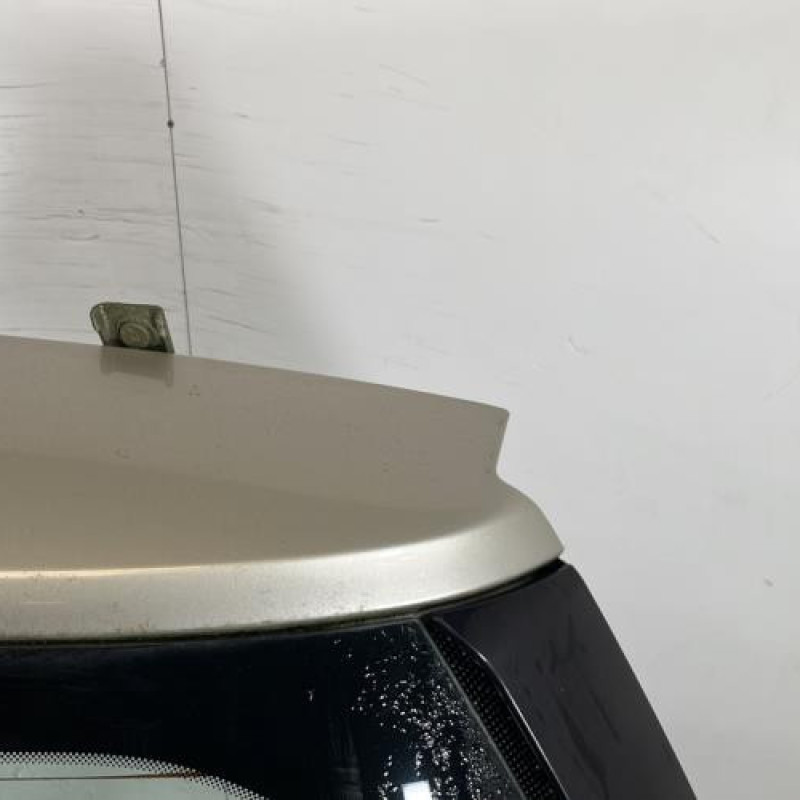 Malle/Hayon arriere RENAULT SCENIC 2 Photo n°3