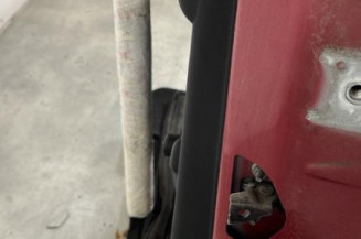 Porte arriere gauche CITROEN C3 2