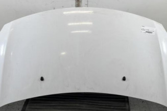 Capot CITROEN DS3 Photo n°1