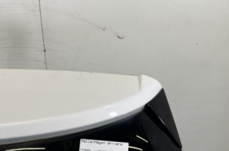 Malle/Hayon arriere CITROEN DS3