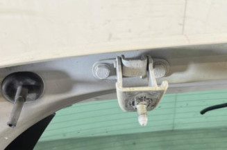 Malle/Hayon arriere CITROEN DS3