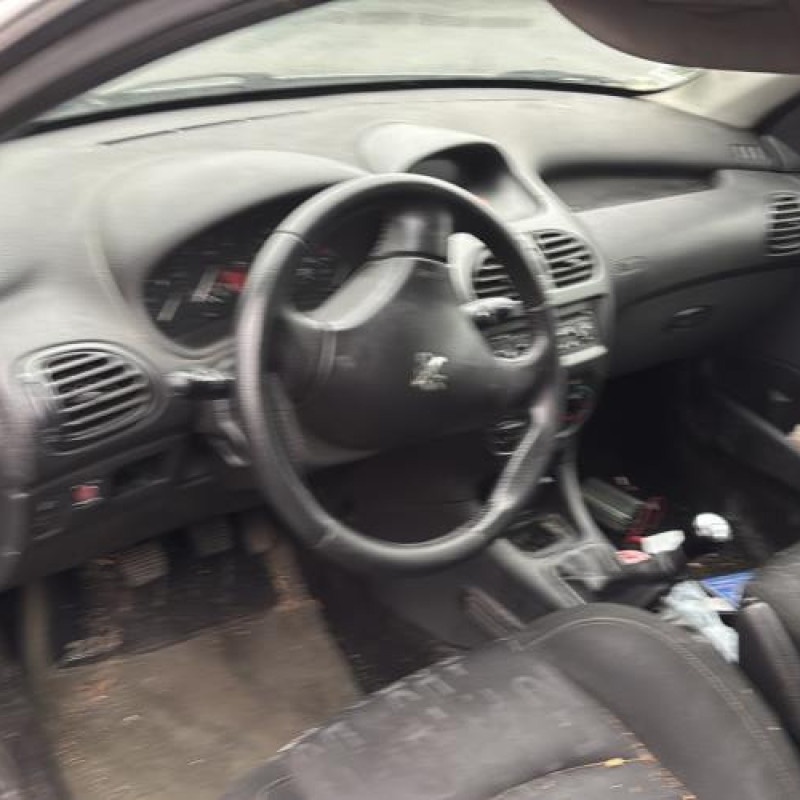 Malle/Hayon arriere PEUGEOT 206 Photo n°18