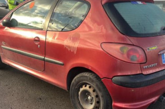 Porte avant gauche PEUGEOT 206