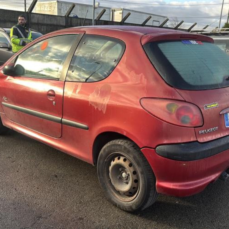 Porte avant gauche PEUGEOT 206 Photo n°10