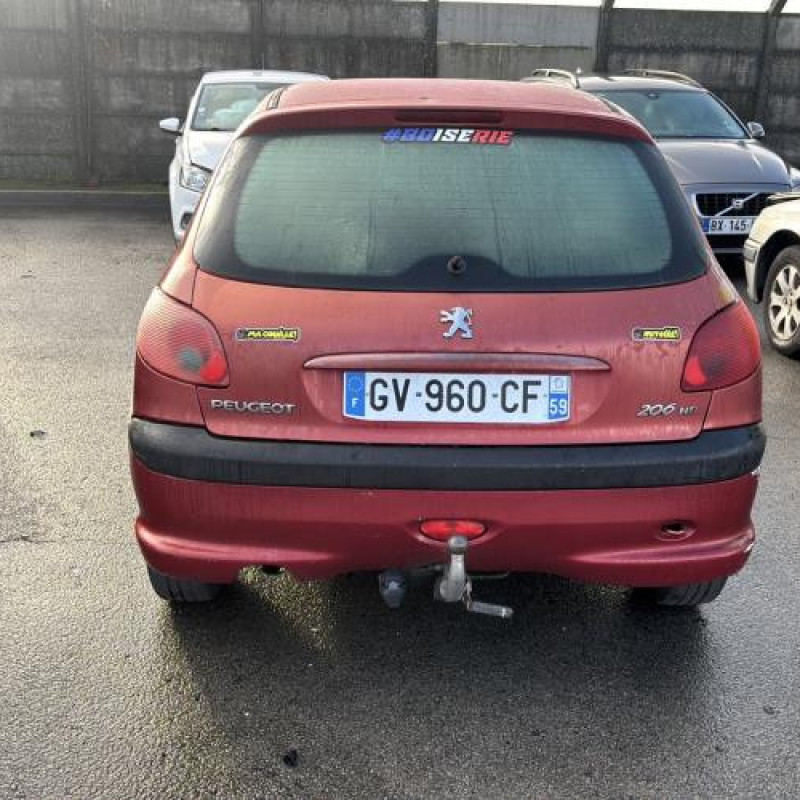 Porte avant gauche PEUGEOT 206 Photo n°11