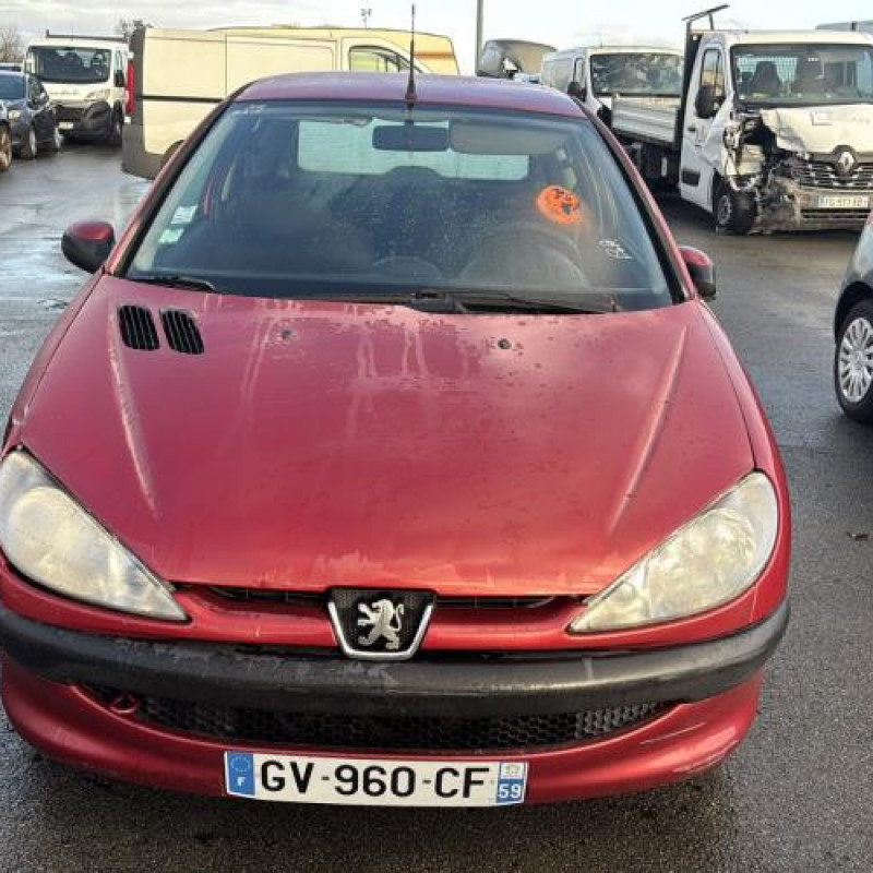 Porte avant gauche PEUGEOT 206 Photo n°14