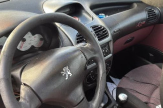 Porte avant gauche PEUGEOT 206