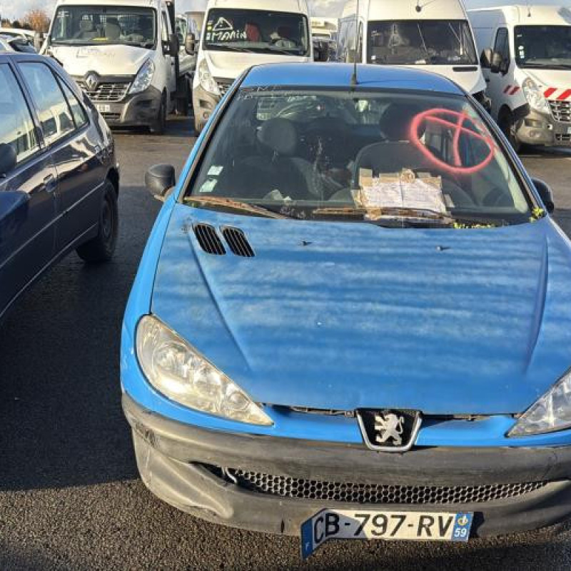 Porte avant droit PEUGEOT 206 Photo n°17